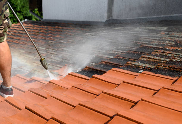 Best House Pressure Washing  in Blaine, TN